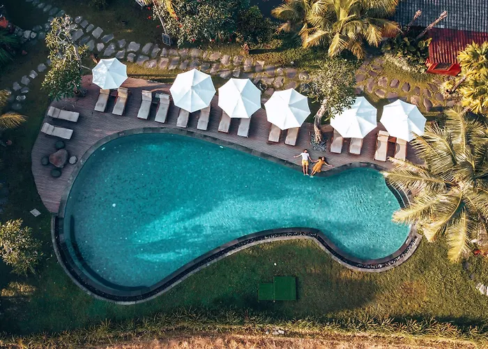 Adiwana Arya